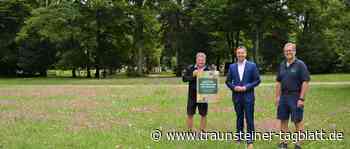Blühwiese im Waldfriedhof: Stadtgärtnerei sorgt für insektenfreundliche Bepflanzung - Traunsteiner Tagblatt