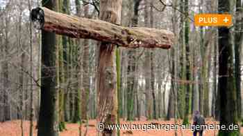 In den Fugger-Wäldern bei Augsburg soll ein Waldfriedhof entstehen - Augsburger Allgemeine