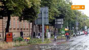 9000 Maßnahmen auf der Warteliste - Augsburg fehlt Geld für die Baumpflege - Augsburger Allgemeine