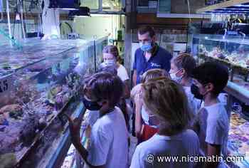 Mes enfants sont-ils concernés par le pass sanitaire?