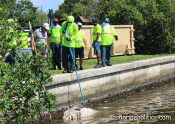 'It's never been political': Gov. DeSantis strikes down pleas for executive order on red tide - Florida Politics