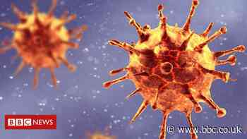Beta coronavirus variant: What is the risk?