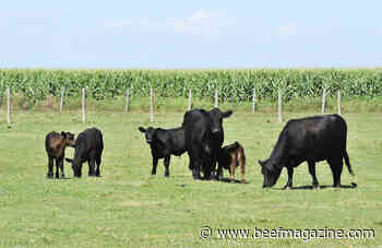 CRYSTALYX launches new supplementation app for livestock producers