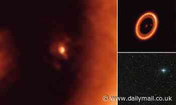 Astronomers discover a moon-forming disc around a giant Jupiter-like exoplanet