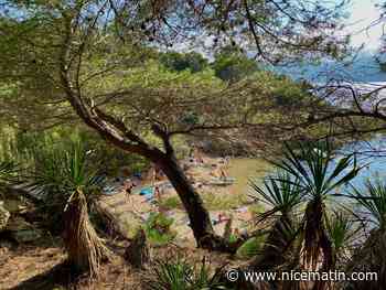 "On se sent surveillés": nus et masqués, nous avons passé une journée sur l’île naturiste du Levant