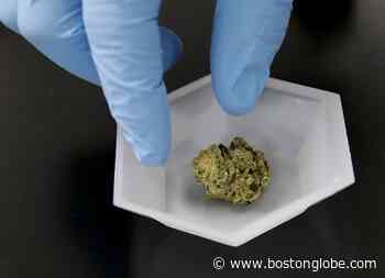 New cannabis and hemp analytical testing lab to open in Rhode Island - The Boston Globe
