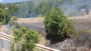 Incendio a Matelica, sterpaglie in fiamme dietro al centro commerciale (foto) - Vivere Camerino
