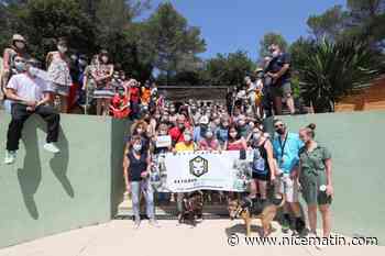 Le Refuge de l’Espoir reçoit près de 30.000 signatures de soutien pour rester à Mougins