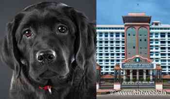 Justice for Bruno: Alia Bhatt, celebs join outcry against dog's murder, Kerala HC orders action - THE WEEK