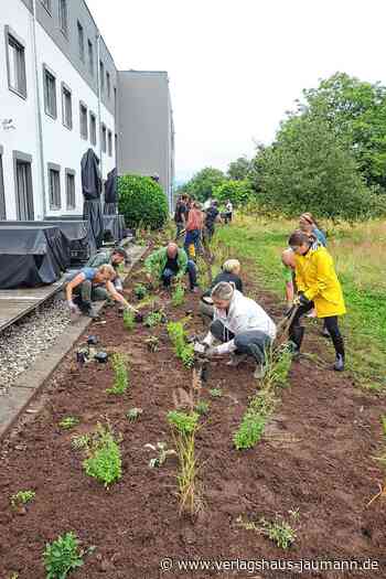 Steinen: Pflanztag bei H2O ein voller Erfolg - Steinen - www.verlagshaus-jaumann.de