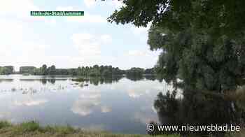 Zijn wachtbekkens klaar voor nieuwe buien?