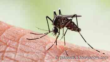 Norfolk health department confirms two mosquito samples test positive for West Nile Virus
