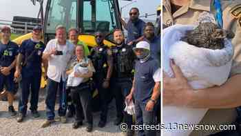 City of Norfolk workers rescue puppy stuck in drain pipe