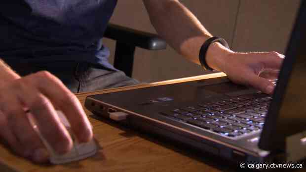Speedy surfing: Province aims to improve internet speed for Alberta's rural communities