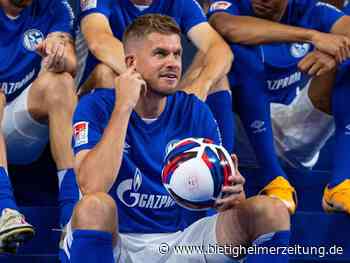 2. Liga: Schalke setzt auf Teroddes Torinstinkt zum Auftakt - Bietigheimer Zeitung