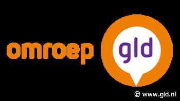 Bever bedreiging voor dijken bij hoogwater - Omroep Gelderland