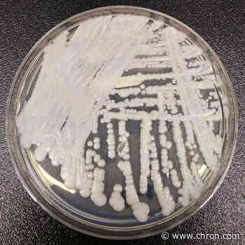 'Superbug' fungus spread in two cities, health officials say