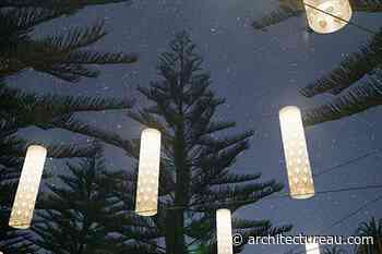 Wallum banksia sculptures to light up Gold Coast - Architecture AU