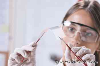 This ‘flexible’ processor is made out of plastic instead of silicon