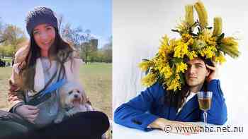 Freedom Day caution or celebration? It depends on who you are