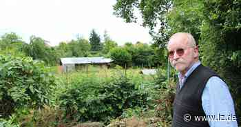 Anwohner klagen über Rattenplage am Blomberger Ostring | Lokale Nachrichten aus Blomberg - Lippische Landes-Zeitung