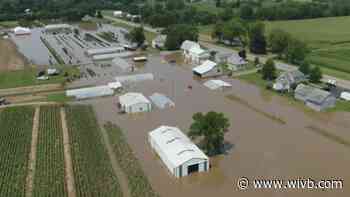 Niagara County vegetable crops take a pounding from hail, rain