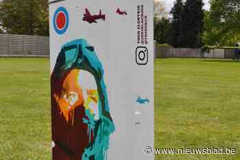 Elektriciteitskasten krijgen origineel uitzicht - Het Nieuwsblad