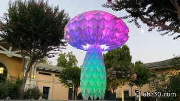 Bay Area art collective creates large-scale origami art for the world to enjoy