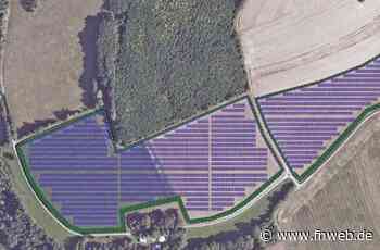 „Die Wertschöpfung sollte hier bleiben“ - Hardheim - Nachrichten und Informationen - Fränkische Nachrichten