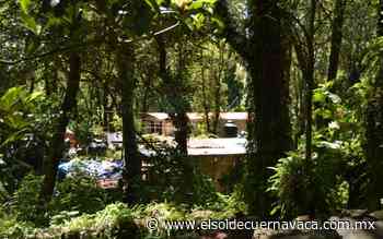 Invaden el corredor Ajusco-Chichinautzin - El Sol de Cuernavaca