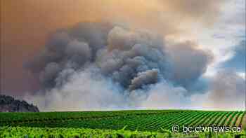 High winds driving Osoyoos wildfire closer to neighbourhoods - CTV News Vancouver