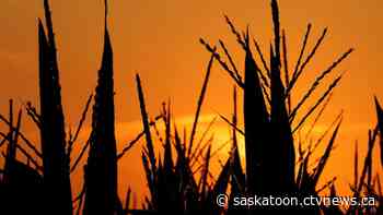 Climate change has arrived in Sask. And it's 'ugly.'