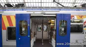 PACA : Les candidats à l’exploitation de la ligne TER Marseille-Nice sont connus - 20 Minutes