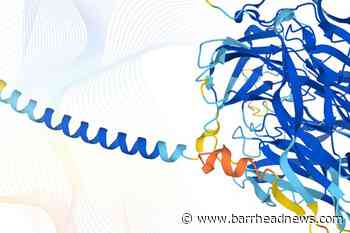 New scientific database 'could revolutionise the way diseases are treated' - Barrhead News