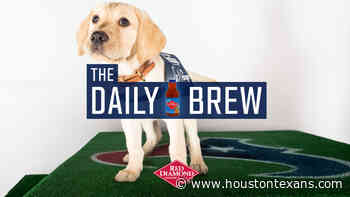 The newest member of the Houston Texans franchise is furry. Texans Pup was introduced to the public recently. - HoustonTexans.com