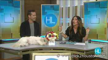 HOUSTON LIFE: July 21, 2021 - KPRC Click2Houston