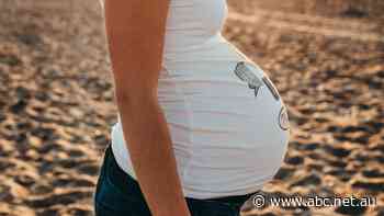 Pregnant women now eligible for Pfizer vaccine