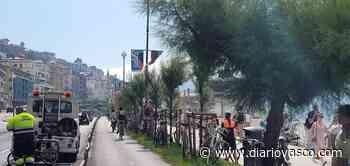 Polémica sobre retirada de bicis en La Concha: «Había 80 aparcabicis libres a 50 metros» - Diario Vasco