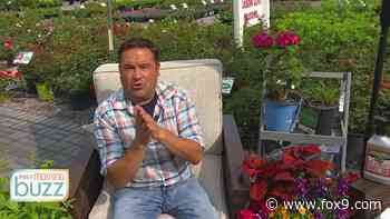 Ask the Gardener! Dale K answers some of your top summer gardening questions - FOX 9