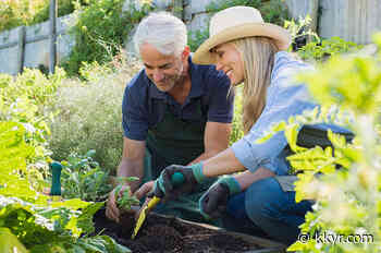 Ready to Become a Master Gardener? Apply for Training Now - kkyr.com