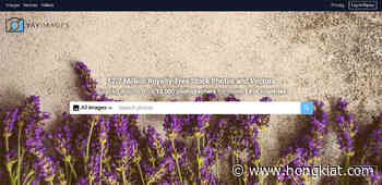 40+ Best Sites to Download High Quality Royalty-Free Images