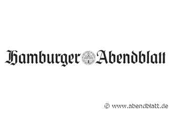 Lkw-Fahrerin aus Pinneberg bei Unfall verletzt - Hamburger Abendblatt