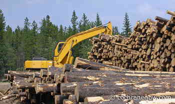 Critics disappointed by new forest management agreement - CochraneNow.com