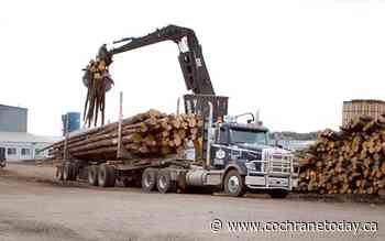 Historic Forest Management Agreement struck between province and Spray Lake Sawmills affiliate - Cochrane Today