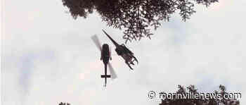 Day Trips: Jurassic Forest adds seven new animatronic dinosaurs - MorinvilleNews.com