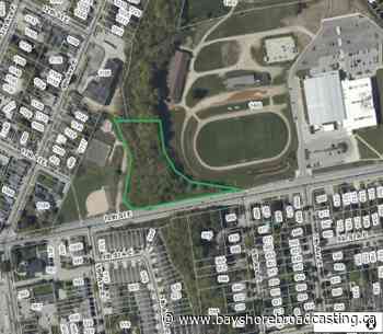 Forest Restoration Trial Project Begins In Owen Sound - Bayshore Broadcasting News Centre