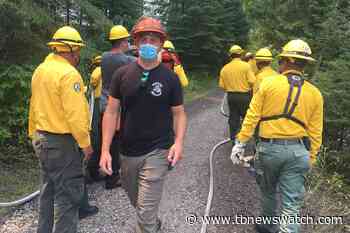 Forest fires have consumed triple the average hectares in 2021 - Tbnewswatch.com