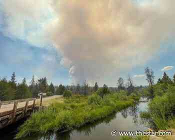 Monster wildfire tests years of forest management efforts - Toronto Star