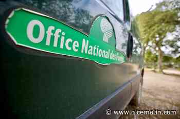 Prévention incendie: l’Office national des forêts lance un appel à candidature auprès des jeunes