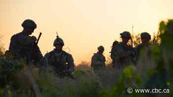 Ottawa to make announcement regarding Afghan interpreters